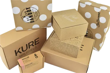 Експресна доставка Кашони в Zwijnaarde BE